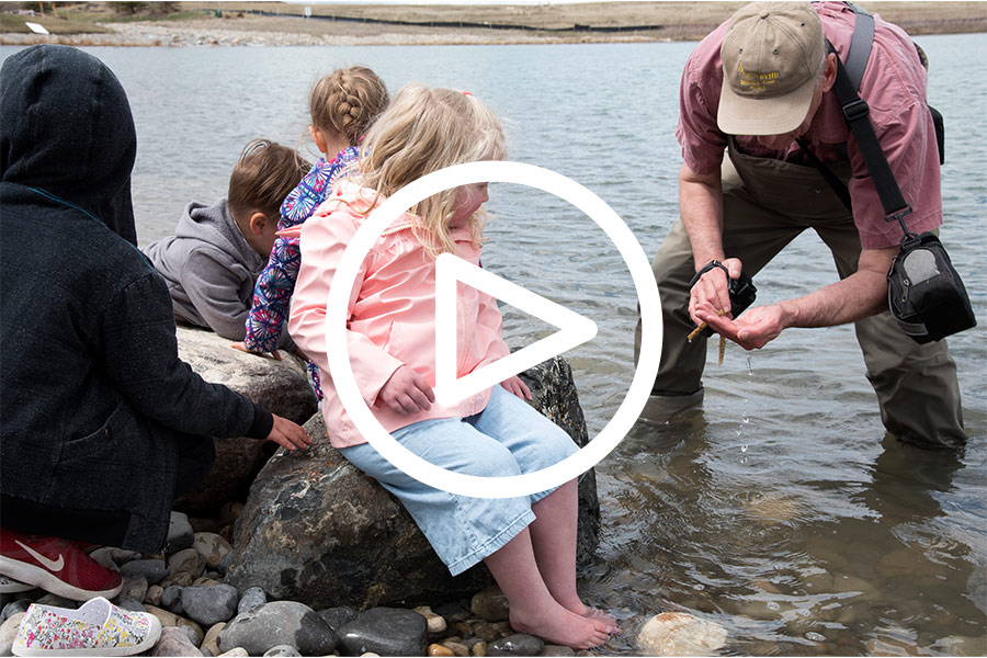 Harmony Lake Fish Stocking